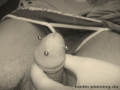 09