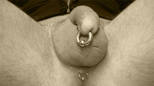 muschi piercing pärchenclub in berlin muschi piercing pärchenclub in berlin