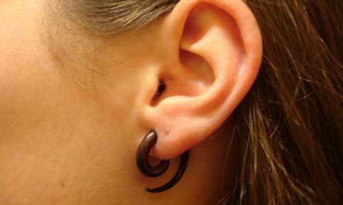 notenbank neustrlitz+piercings 017 notenbank neustrlitz+piercings 017