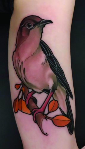 Bird