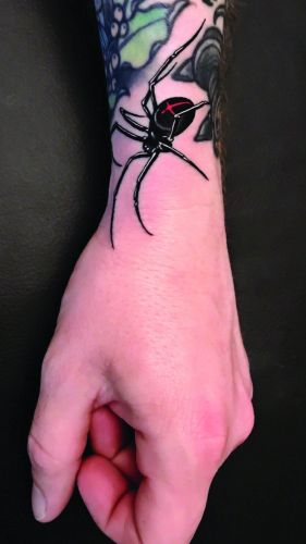 Spider