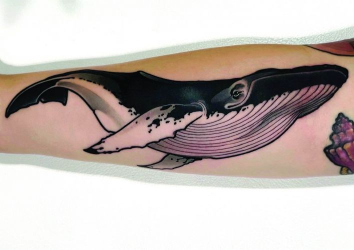 whale