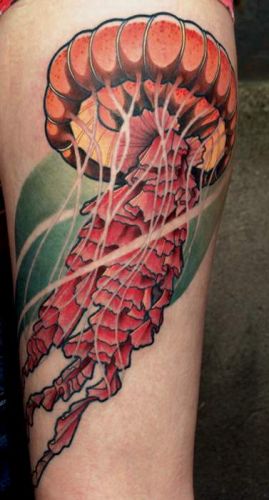 Jellyfish