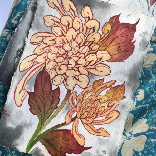 sketch-flower