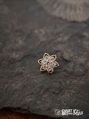 Ein wunderschöner Aufsatz aus 18K Echtgold mit 7 hochwertigen Premium Zirkonia.