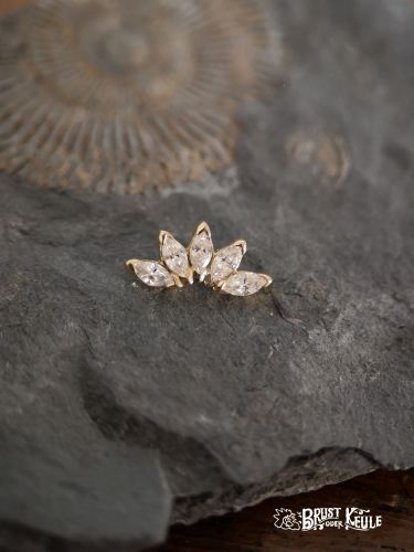 Ein wunderschöner Aufsatz aus 18K Echtgold mit 5 hochwertigen Premium Zirkonia.