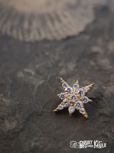 Ein wunderschöner Aufsatz aus 18K Echtgold mit 13 hochwertigen Premium Zirkonia.