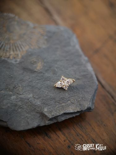 Ein wunderschöner Aufsatz aus 18K Echtgold mit Premium Zirkonia. Perfekt zum Aufschrauben auf Schmuck mit Innengewinde.