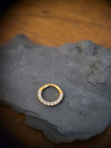 NICKELFREI HINGED SEGMENT RING - CoCr NF - handpoliert - Als Clicker einfach mit der Hand zu öffnen und zu schließen – handpoliert