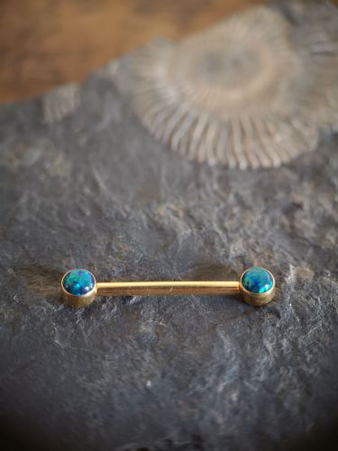 Ein wunderschönses Schmuckstück, speziell für Brustwarzenpiercings konstruiert.