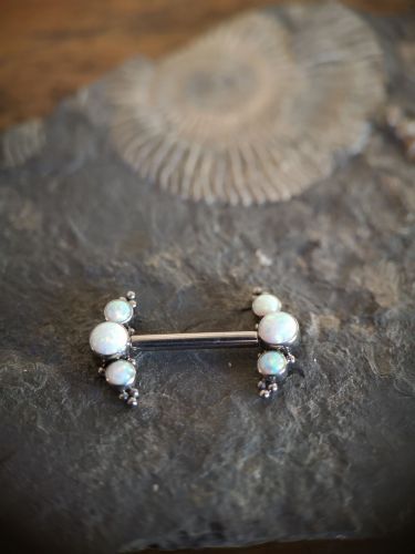 Ein wunderschönses Schmuckstück, speziell für Brustwarzenpiercings konstruiert.