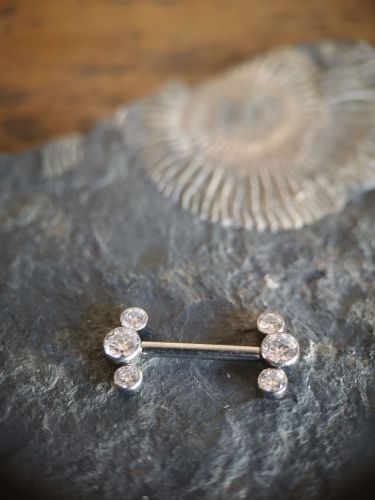Push Pin Aufsatz mit Frontansicht! Titanium Nipple Disc mit Frontstein Premium Cubic Zirconia Threadless/Push Pin
